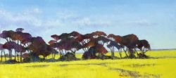 Canola Fields near Philadelphia, Western Cape I | 2021 | Oil on Canvas | 30 x 60 cm